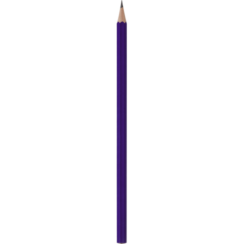 0522-195-L Köşeli Renkli Kurşun Kalem