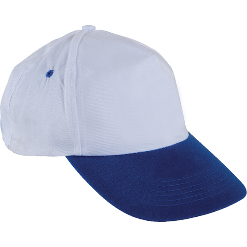 0310-L Şapka